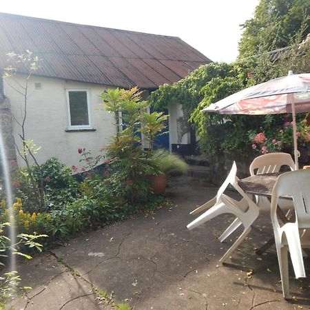 The Royal Oak Inn Dunsford エクステリア 写真